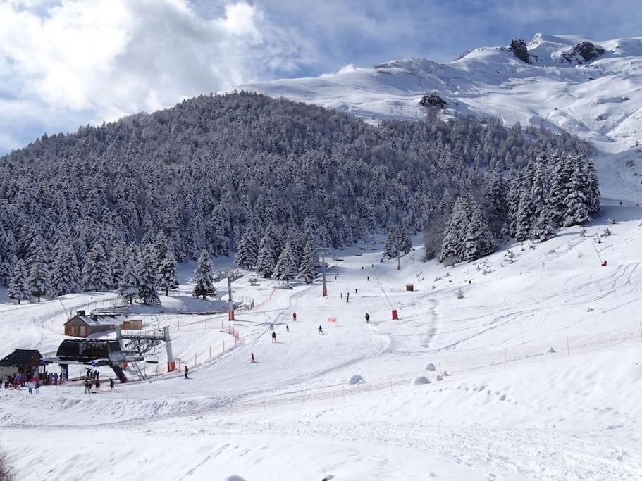 Appartement T4 8 Couchages Spacieux Et Cosy Au Pied Des Pistes Genos ภายนอก รูปภาพ